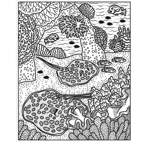 Coral Reef Magic Painting Book / Книга-раскраска Магия коралловых рифов: Количество страниц 32