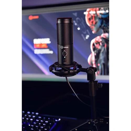 Микрофон Lorgar Voicer 721 Black (LRG-CMT721): Выходной штекер USB
