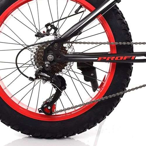 Велосипед Profi EB20POWER 1.0 S20.1 Чёрный