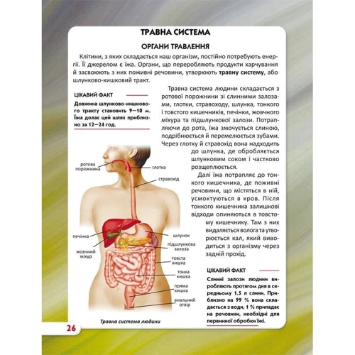 Світ довкола нас. Тіло людини. Фотоенциклопедія: Обкладинка Твердая