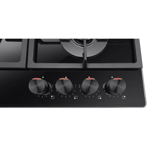 Варочная поверхность Hansa BHKS651599: Количество конфорок 4