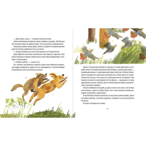 Євгенія Чернишова: Родич жирафа і інші історії: ISBN 978-5-9614-3850-5