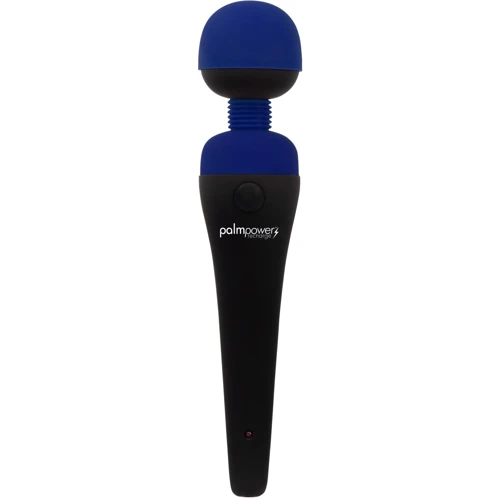 Вибромассажер PalmPower Recharge - Blue: Для кого Унисекс