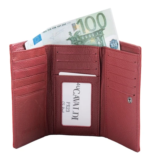 Женский кошелек 4U Cavaldi красный (DNKPX23CS-red): Формат кошелька Горизонтальный