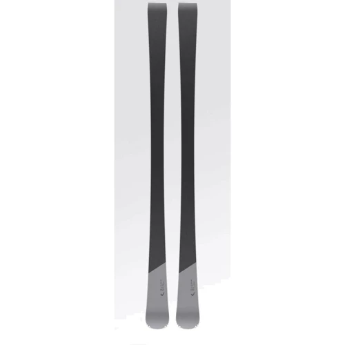 Лыжи HEAD Premium SW SF-PR bk + PRD 12 GW BR.85[F] 170 (2021): Тип горные лыжи