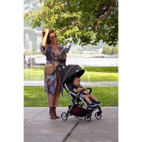 Коляска Chicco Goody Plus Stroller (79877.19.00): Количество блоков 1