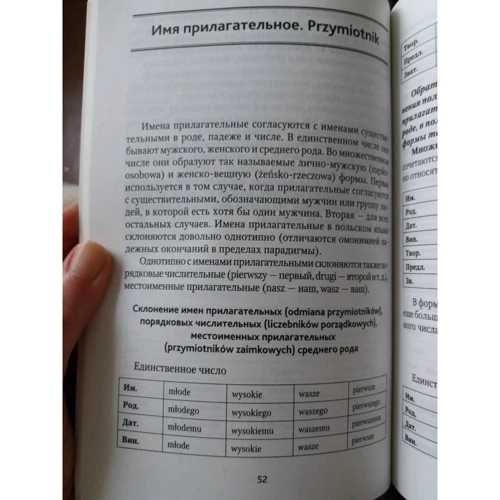 В. Ермола: Польская грамматика в таблицах и схемах: Количество страниц 232