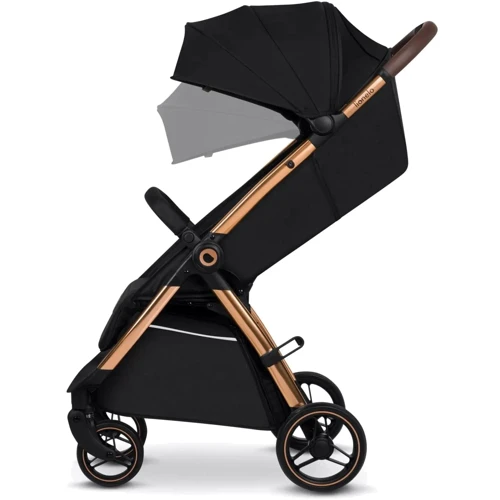 Прогулочная коляска Lionelo Ingrid Black Onyx (LO-INGRID BLACK ONYX): Тип коляски Прогулочная