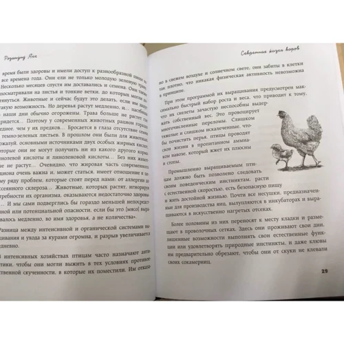 Розамунд Янг: Секретная жизнь коров. Истории о животных, которые не так глупы, как нам кажется: Количество страниц 160