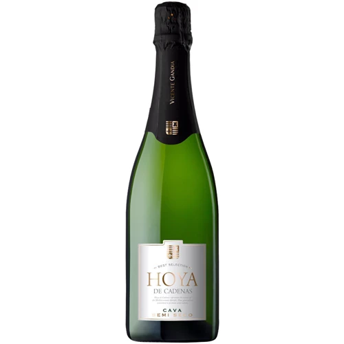 Ігристе вино Hoya de Cadenas Cava Semi Seco біле 0.75 л (WHS8410310617126)