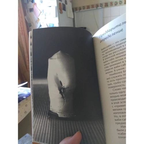 Леонард Корен: Ваби-саби. Японская философия для художников, дизайнеров и писателей фото 7