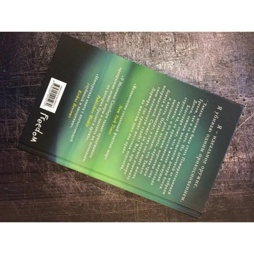 Мелінда Солсбері: Дочка Пожирачки Гріхів. Книга 1: Кількість сторінок 448