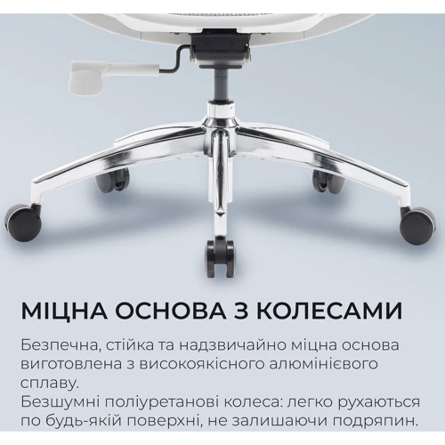 Офисное кресло Sihoo DORO S100 Mesh White (S100-M302)