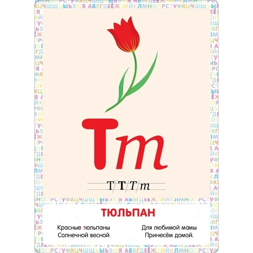 Мир вокруг меня. Умный алфавит. Развивающие карточки: Количество страниц 20