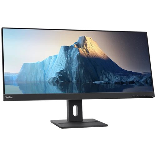 Монитор Lenovo ThinkVision E29w-20 (62CEGAT3UA): Покрытие экрана матовое