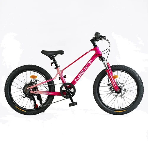 Велосипед спортивний Corso Next 20" (NX-20203)