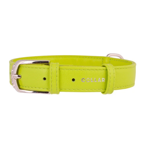 Ошейник Collar Glamour без украшений 20 мм 30-39 см салатовый (4820152560858)