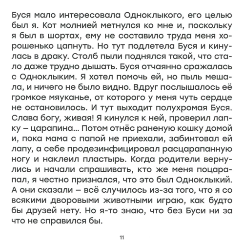 Сергій Рибалка: Пригоди Бусі: Жанр пригоди
