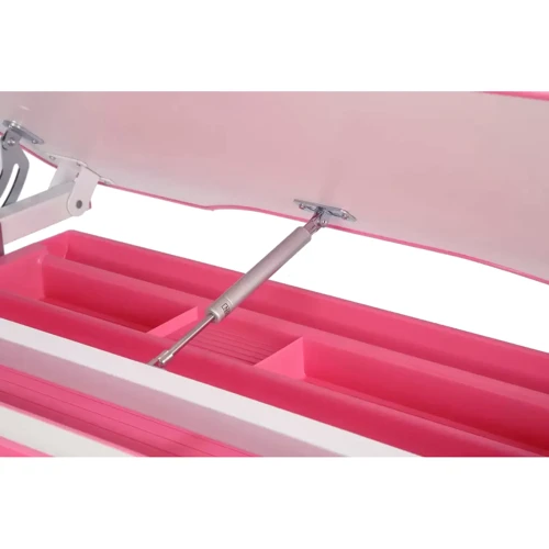 Растущая парта Cubby Freesia Pink: Возраст ребенка от 5-ти лет
