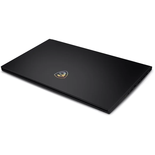 Ноутбук MSI Stealth 15 A13VF (A13VF-139US): Видеоадаптер NVidia GeForce RTX 4060, 8 ГБ GDDR6