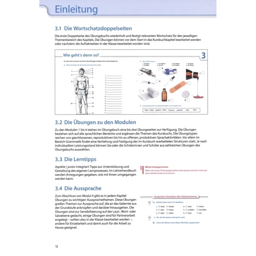 Aspekte junior B1+: Lehrerhandbuch: Обложка Мягкая