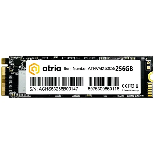 ATRIA X500S 256 GB (ATNVMX500S/256)