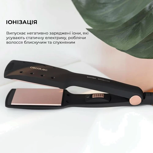 Выпрямитель CECOTEC RitualCare Wet&Dry (CCTC-04328): Назначение Для домашнего использования