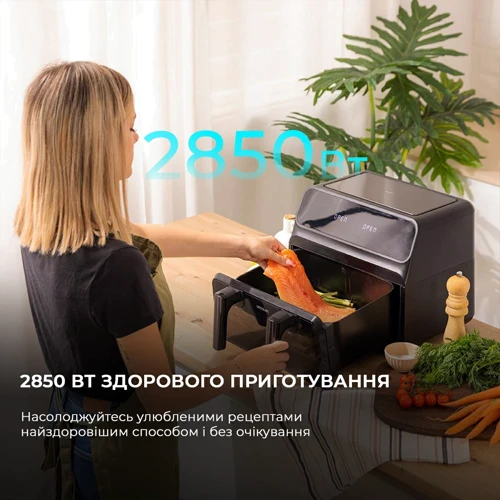 Фритюрница CECOTEC Cecofry Advance 9000 Window (CCTC-04986): Тип устройства Мультипечь (аэрофритюрница)
