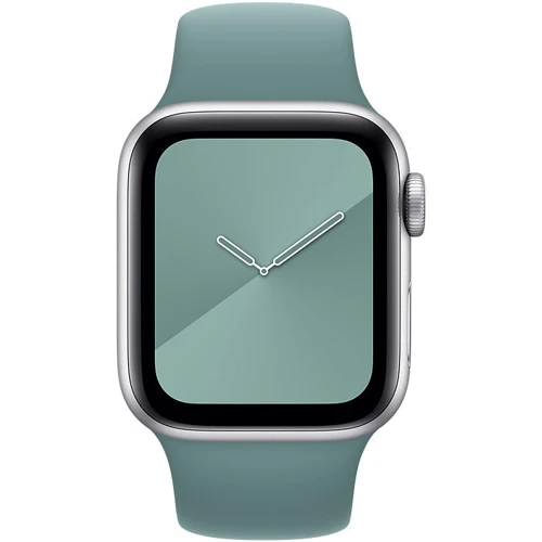 Аксессуар для Watch Apple Sport Band Cactus (MXNT2) for Apple Watch 38/40/41mm UA: Совместимость Apple Watch 41mm, Apple Watch 38mm, Apple Watch 40mm