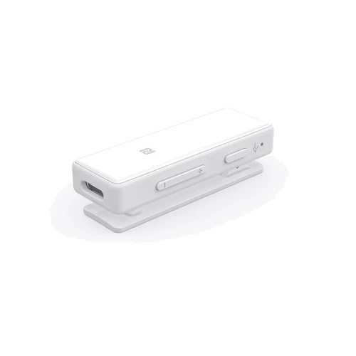 FIIO mBTR White (5511033): Входы USB Type-C