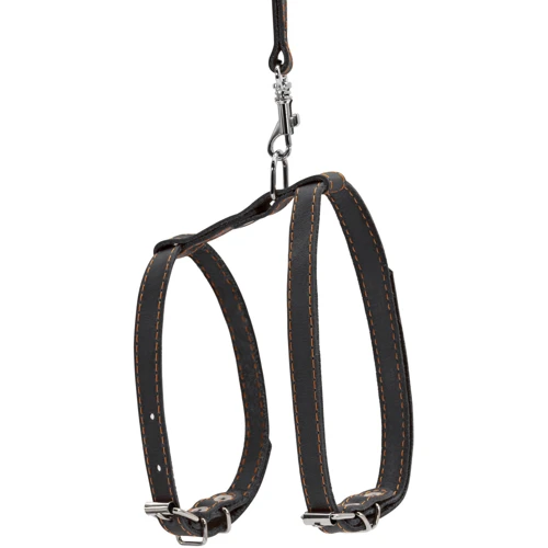 Шлея кошачья Collar с поводком кожаная 12 мм 105 см черный (05451): Производитель Collar