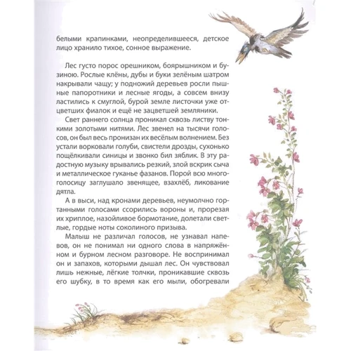 Бемби: Обложка Твердая