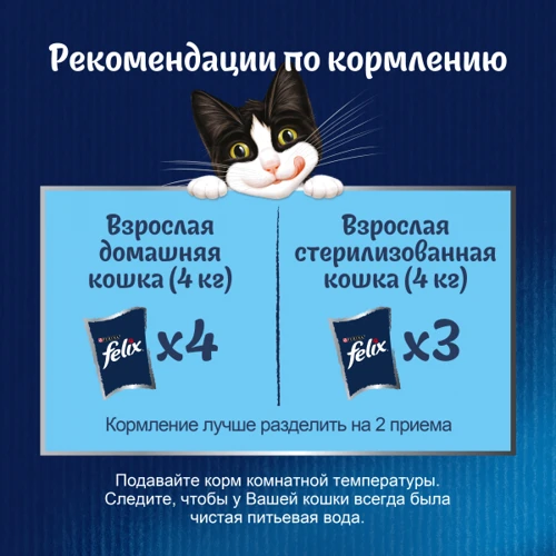 Влажный дополнительный корм FELIX Суп для взрослых кошек с говядиной 48 г (7613036632294): Вес упаковки 48 г