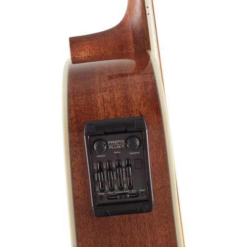 Гітара CORT (Preamp for MR730FX): Кількість струн 6