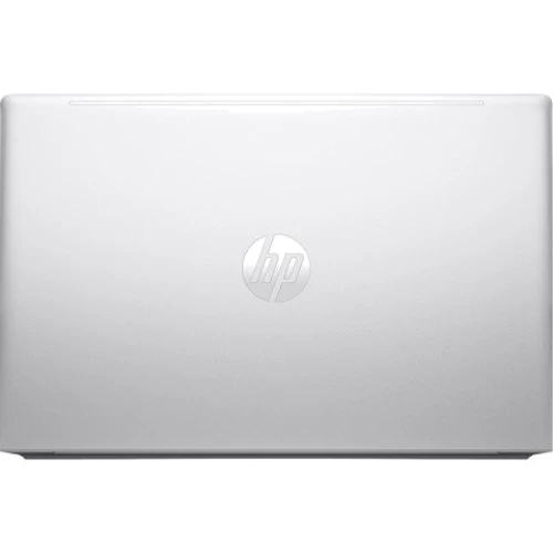 Ноутбук HP ProBook 455 G10 (8L096UA) RB: Тип екрану матовый