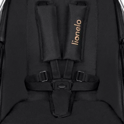 Универсальная коляска 2 в 1 Lionelo Amber Black Onyx (LO-AMBER 2IN1 BLACK ONYX): Материал колес резина (надувные)