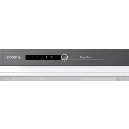 Встраиваемый холодильник Gorenje RI2181A1: Тип Холодильная камера