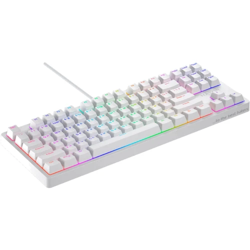 Клавиатура HATOR Rockfall 2 Mecha TKL Orange White (HTK-521): Интерфейс подключения USB