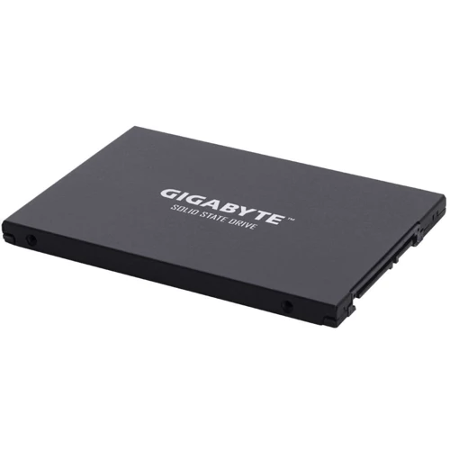GIGABYTE UD PRO 256GB (GP-GSTFS30256GTTD) фото 4