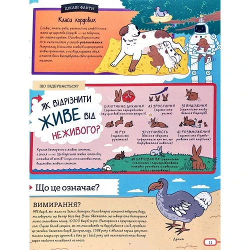 Квест STEM. Дивовижні атоми та хаос матерії: Обкладинка М'яка