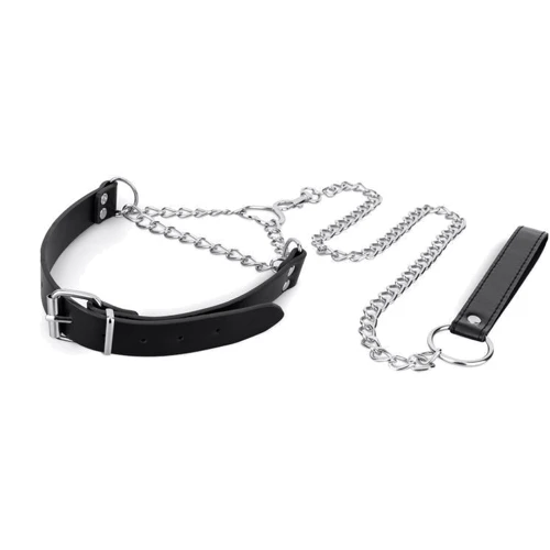 Ошейник с поводком Bedroom Fantasies: Collar with Chain Silver