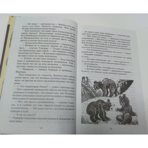 Эрин Хантер: Странники. Медвежье озеро: Количество страниц 320