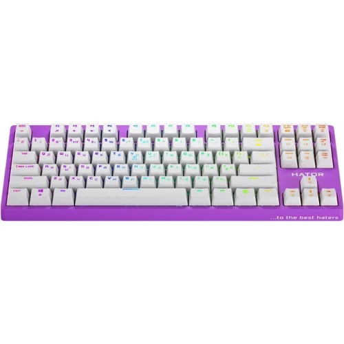 Клавиатура Hator Rockfall EVO TKL Optical Eng/Ukr/Rus, Lilac (HTK-633): Подключение проводное