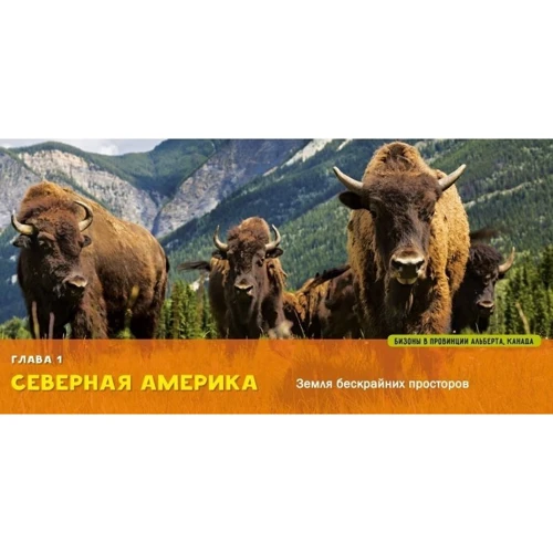 Элизабет Карни. Моя первая большая книга О мире: Обложка Твердая