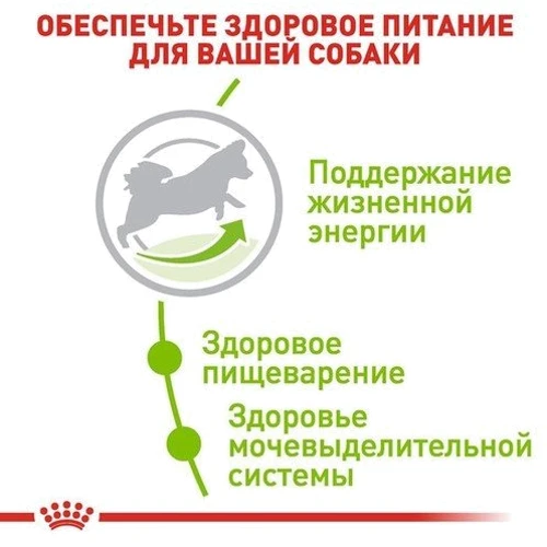 Сухой корм для собак Royal Canin XSmall Adult 8+ малых пород старше 8 лет 500 г (10040059): Порода Малые