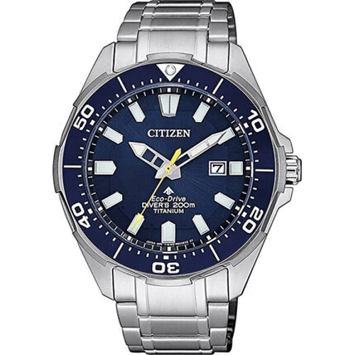 Наручные часы CITIZEN BN0201-88L