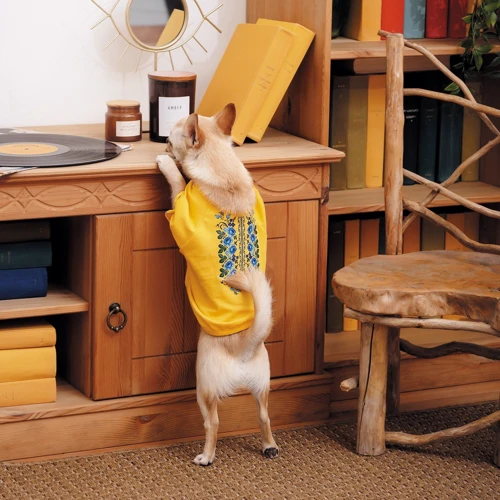 Футболка Pet Fashion Maria L девочка (4823082430529): Размер животного Средние