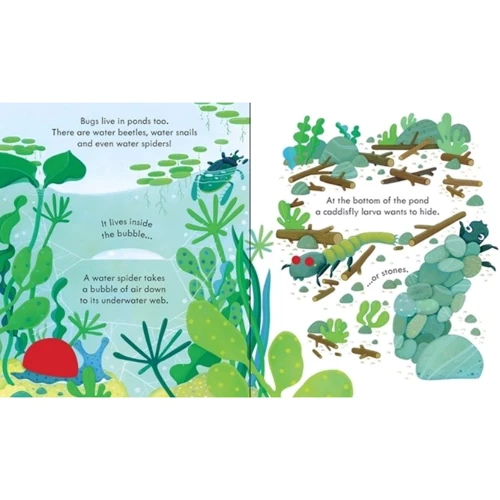 Peep Inside. Bug Homes / Загляньте всередину. Будинки комах: Производитель Usborne