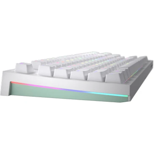 Клавиатура HATOR Skyfall TKL PRO Wireless White (HTK-664): Тип клавиатуры игровая