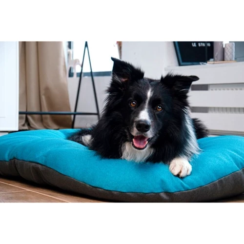 Лежак-подушка Lucky Pet №1 для собак Морфей бирюзовый 40х50 см (215402): Размеры 40х50 см